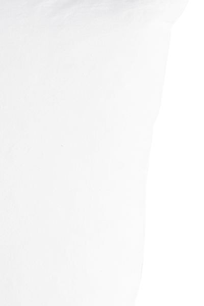 Feather-filled Inner Cushion | H&M (US + CA)