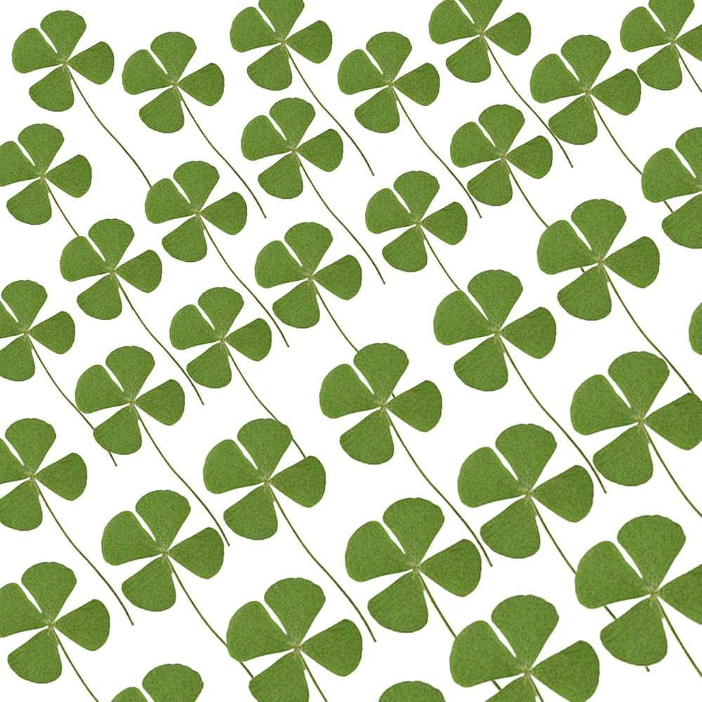 48 Pcs Mix Lucky Clover Natural Dried Pressed Flowers for Resin, Jewelry Making, Real Dry Flower ... | Amazon (US)