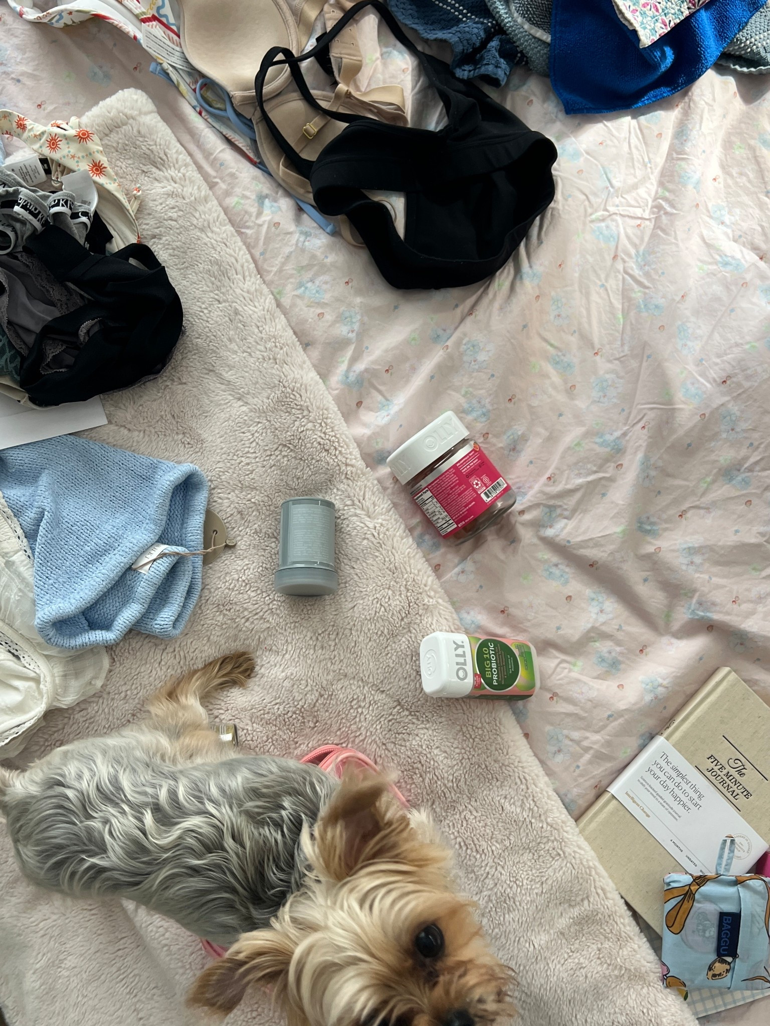 POV: your flight leaves in 1 hour

#LTKStyleTip #LTKTravel #LTKSeasonal