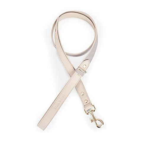 ARING PET Dog Leash, Velvet Dog Leashes Matching Dog Collars, Handmade Strong White Velvet Weddin... | Amazon (US)