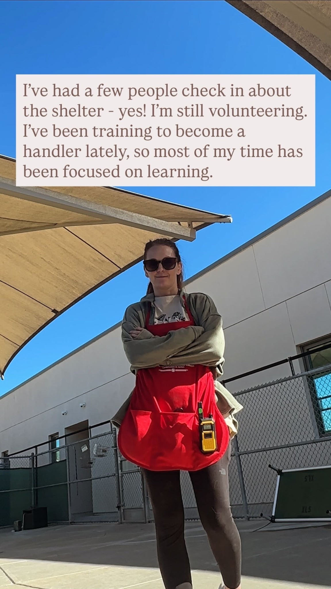 Not a costume. No tricks, but lots of treats. 💙🐾

#LTKTravel #LTKPetite #LTKActive