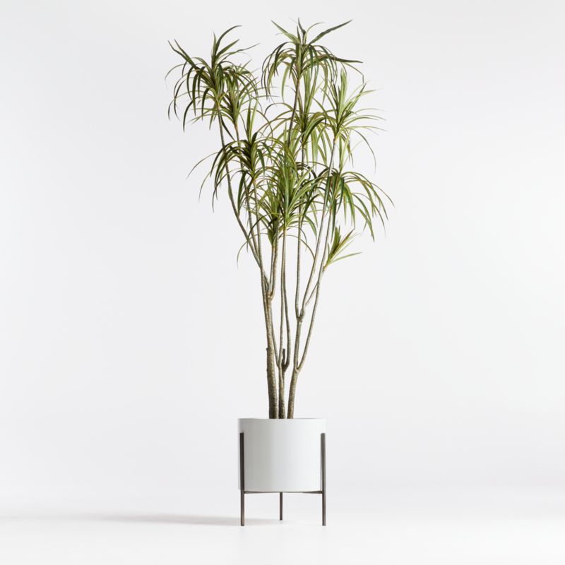 Artificial/Faux Potted Dracaena 6.5' + Reviews | Crate & Barrel | Crate & Barrel