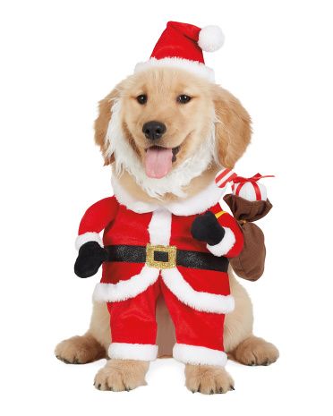 Santa Claus Pet Costume | TJ Maxx