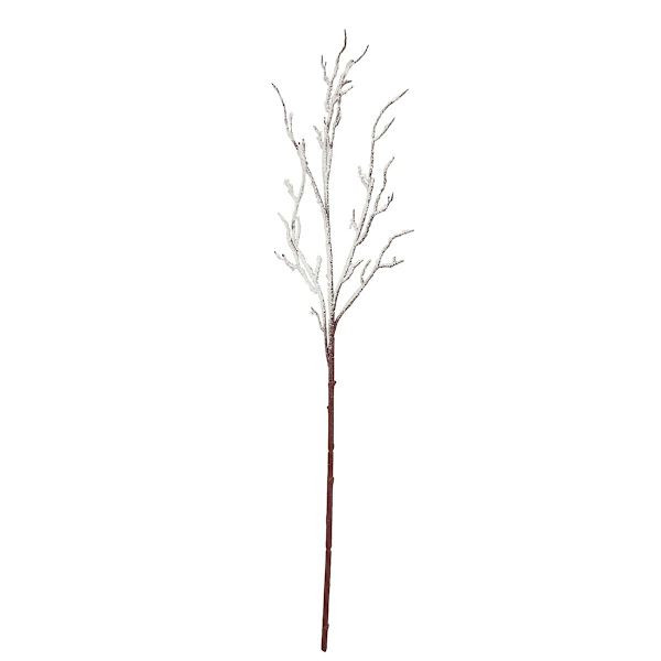 White Flocked Lamb's Ear Fruit Stem, 30" | At Home