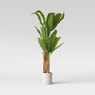 72&#34; Banana Tree in Cement Pot  - Opalhouse&#8482; | Target