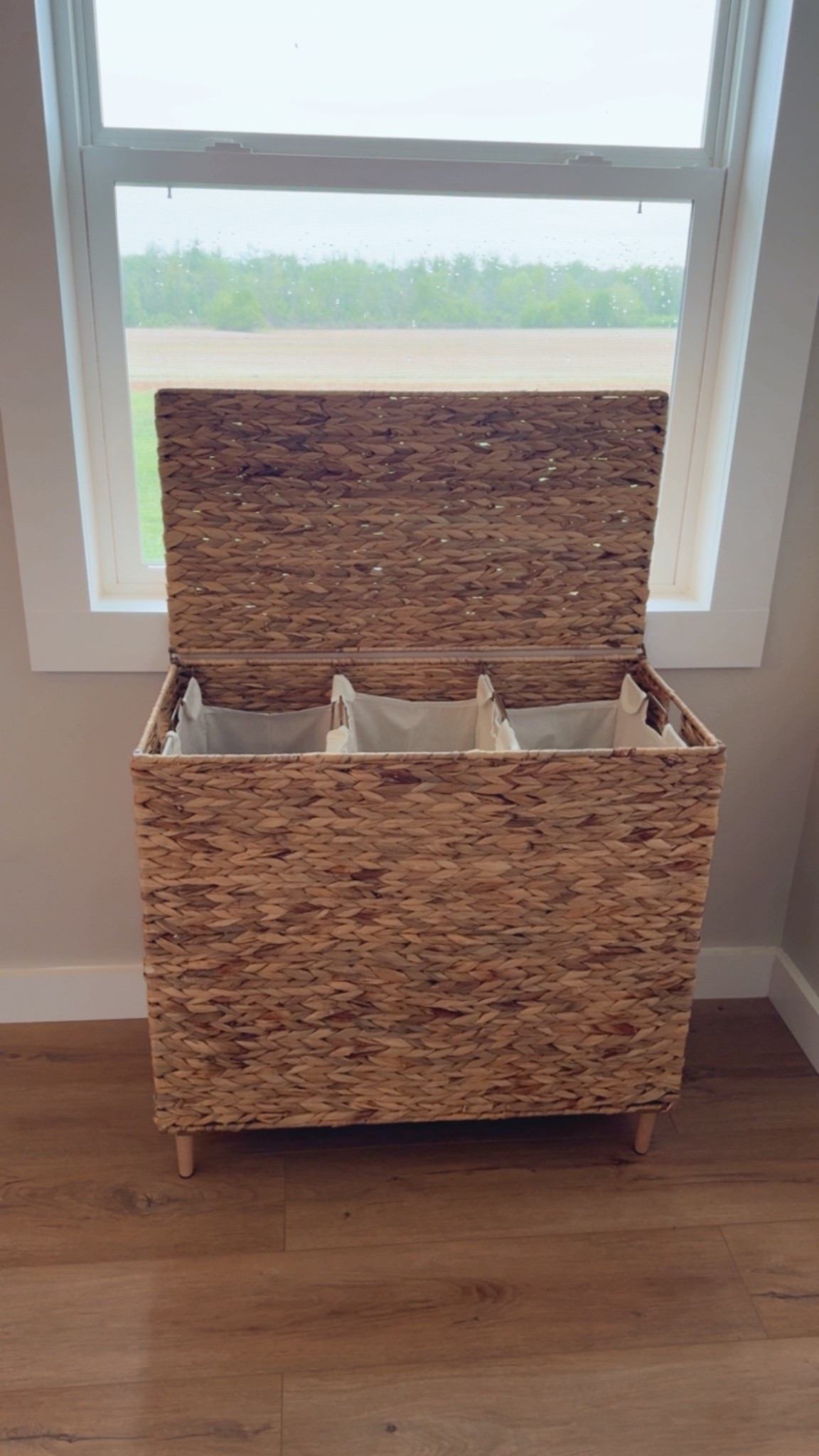 New laundry hamper! I love that it has a lid to hide the dirty clothes!

Laundry, organization

#LTKHome #LTKmomlife