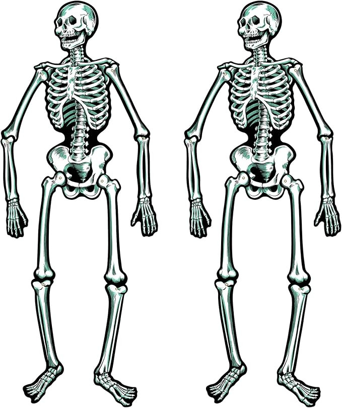 Jointed Skeletons - 22" | Amazon (US)