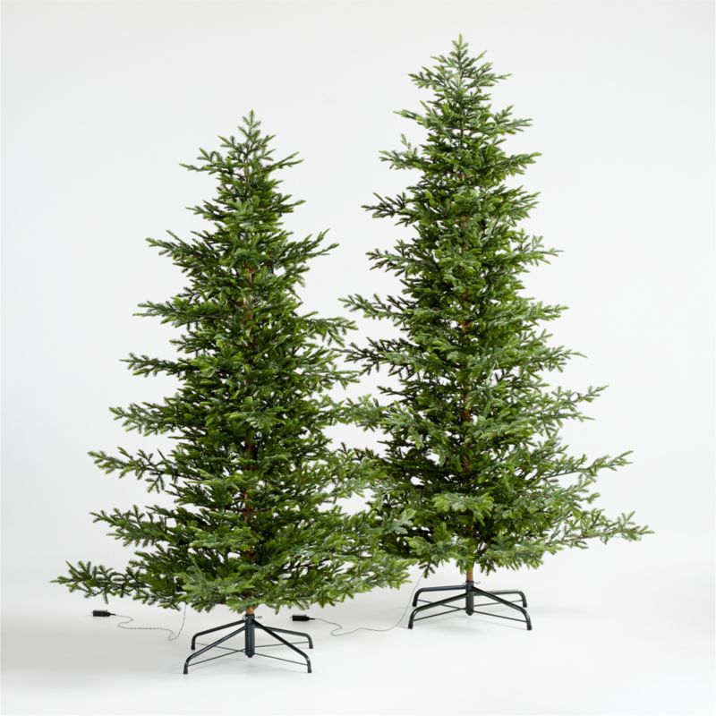 Faux Balsam Fir Pre-Lit LED Christmas Trees with White Lights | Crate and Barrel | Crate & Barrel