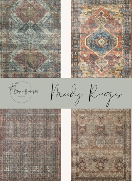 Moody aesthetic area rugs to update your home. Bring in richer, warmer colors to your home. These rugs are thin pile. #arearugs #budgetdecor

#LTKhome #LTKSeasonal