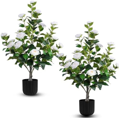 Hananona 2 Pcs Artificial Camellia Trees Faux Camellia Plant in Pot with Flowers Indoor Plants fo... | Amazon (US)
