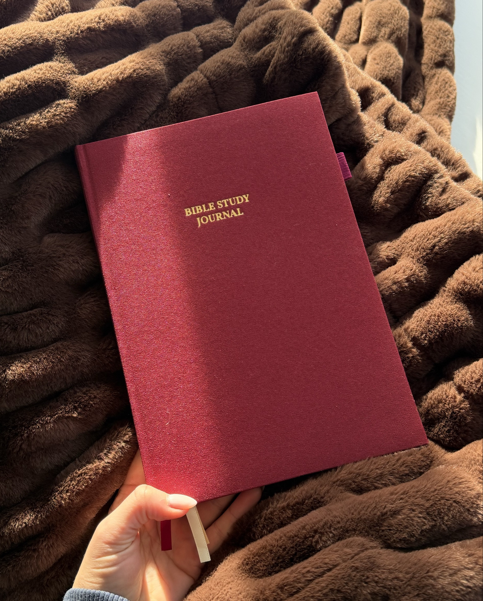 Bible study/prayer/church journal 