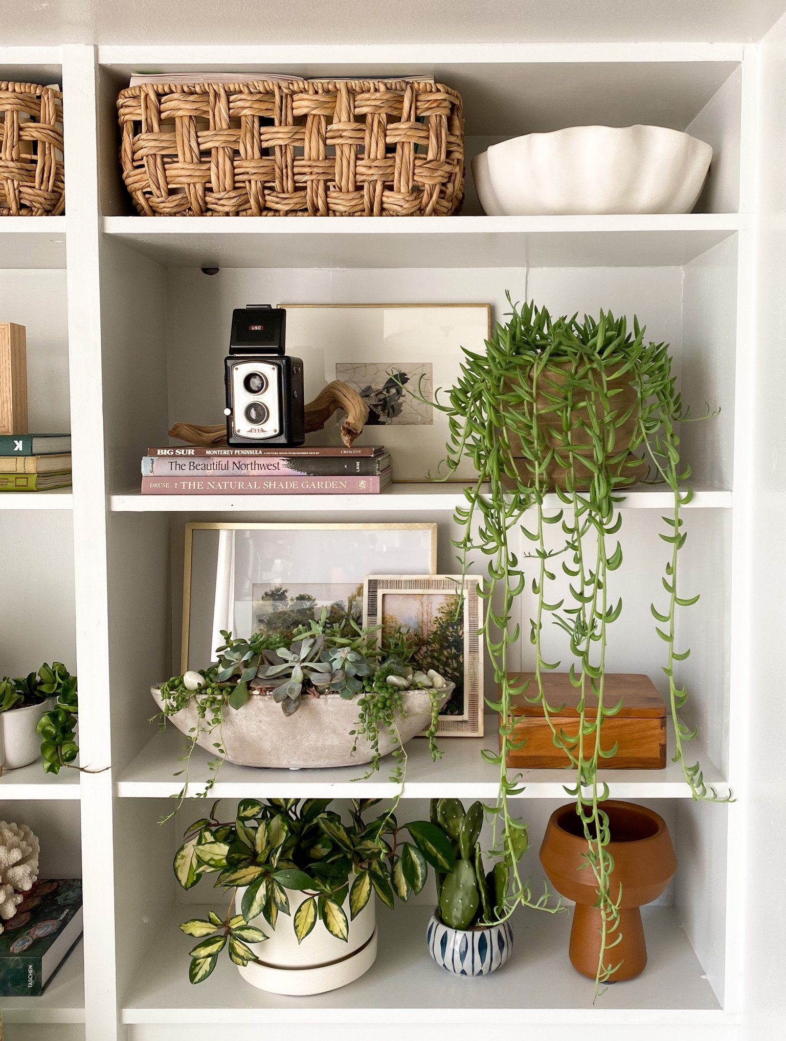 Details from our new built ins #homedecor #decor #moderntransitional #target

#LTKunder50 #LTKhome #LTKU