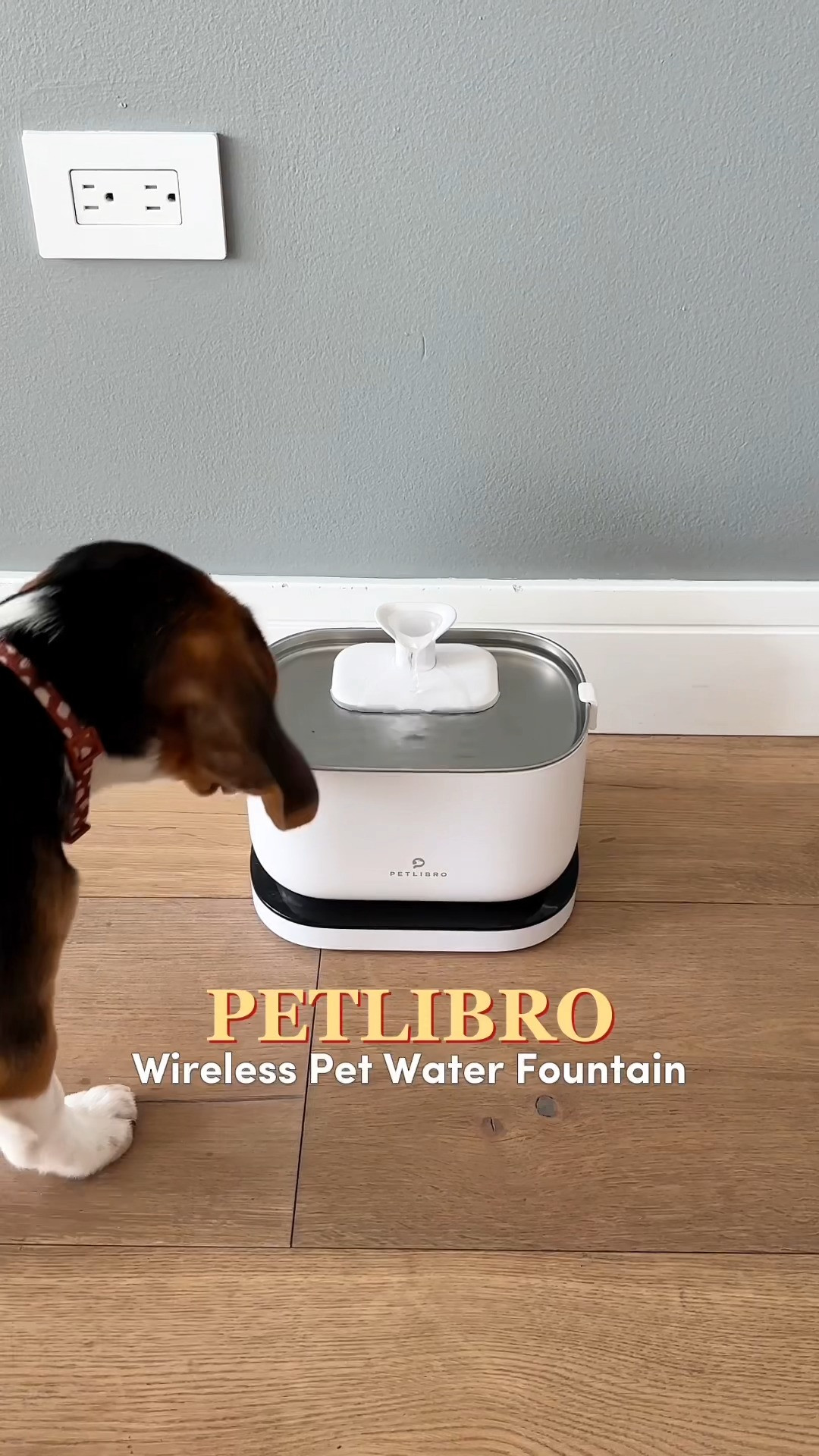 If your dog/cat insists on drinking straight from the bathroom faucet, you need this PETLIBRO wireless fountain! 🐱 It mimics natural flowing water to entice picky pets to drink more, and the battery-operated design means you can set it anywhere in the house - no outlet required. Worth picking up if you want total peace of mind while you’re out of the house. Ideal for busy pet parents! ✨#LTKfinds #LTKunder100 #PETLIBRO #SmartPetFinds #PetEssentials #CatHacks #PetTech 

#LTKHome