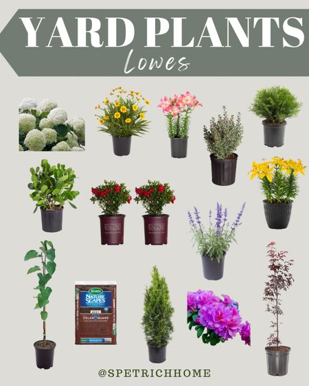 It’s time to get out in the yard and plant some flowers, trees, and bushes! Check out these plants from Lowe’s! 

#LTKHome #LTKSeasonal #LTKU