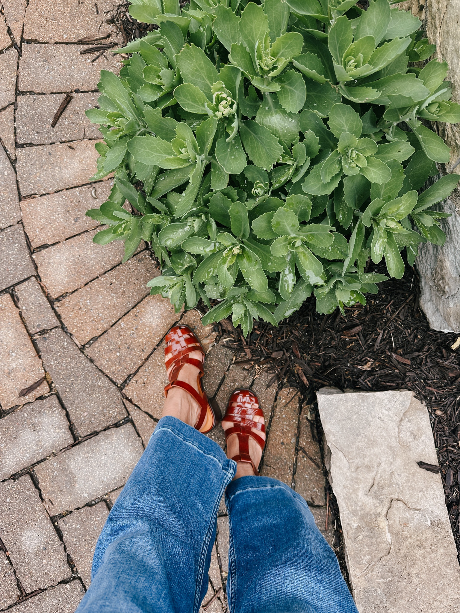 summer heeled sandals. love these so much  

#LTKStyleTip