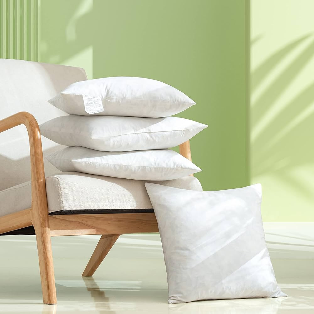 Dorrin Nessin 18x18 100% Feather Throw Pillows Insert (Pack of 4, White), Bed and Couch Decorativ... | Amazon (US)