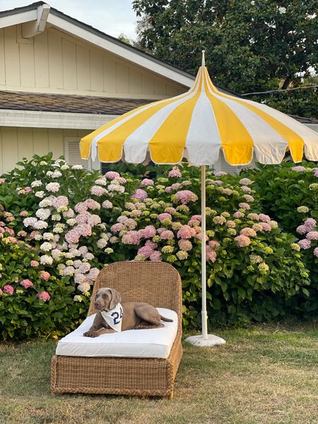 Trending Outdoor furniture. Wicker chaise lounge. Outdoor chaise lounge. Pagoda patio umbrella. Yellow and white patio umbrella. Italian summer decor. Italian summer aesthetic. 💛🤍