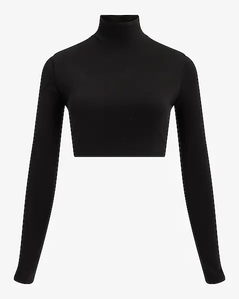 Body Contour Stretch Cotton Turtleneck Long Sleeve Cropped Tee | Express