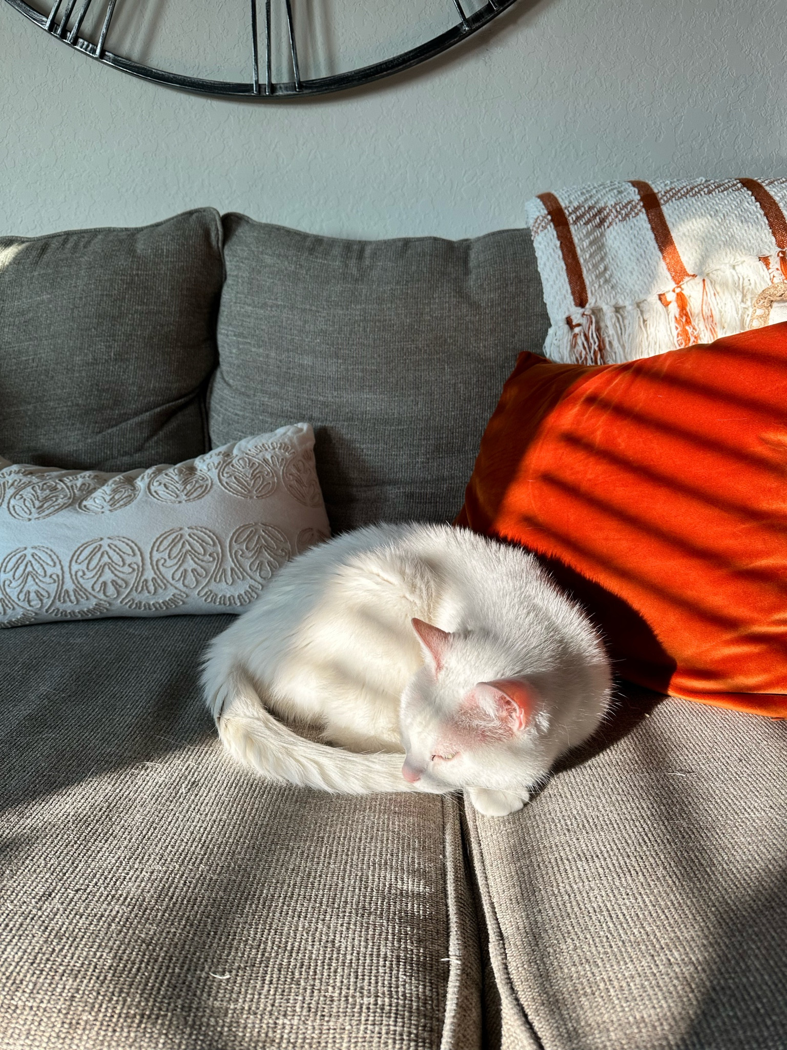 Fall throw pillows

#LTKFindsUnder50 #LTKFindsUnder100 #LTKHome