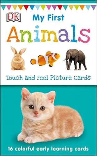 My First Touch and Feel Picture Cards: Animals (My 1st T&F Picture Cards)



Cards – January 2,... | Amazon (US)