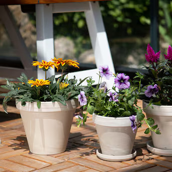 5.5-Inches W Small White Terracotta Indoor/Outdoor Planter with Drainage Holes | Lowe's