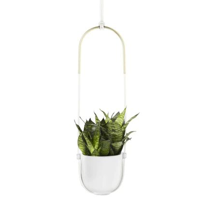 Bolo Planter | 2Modern (US)