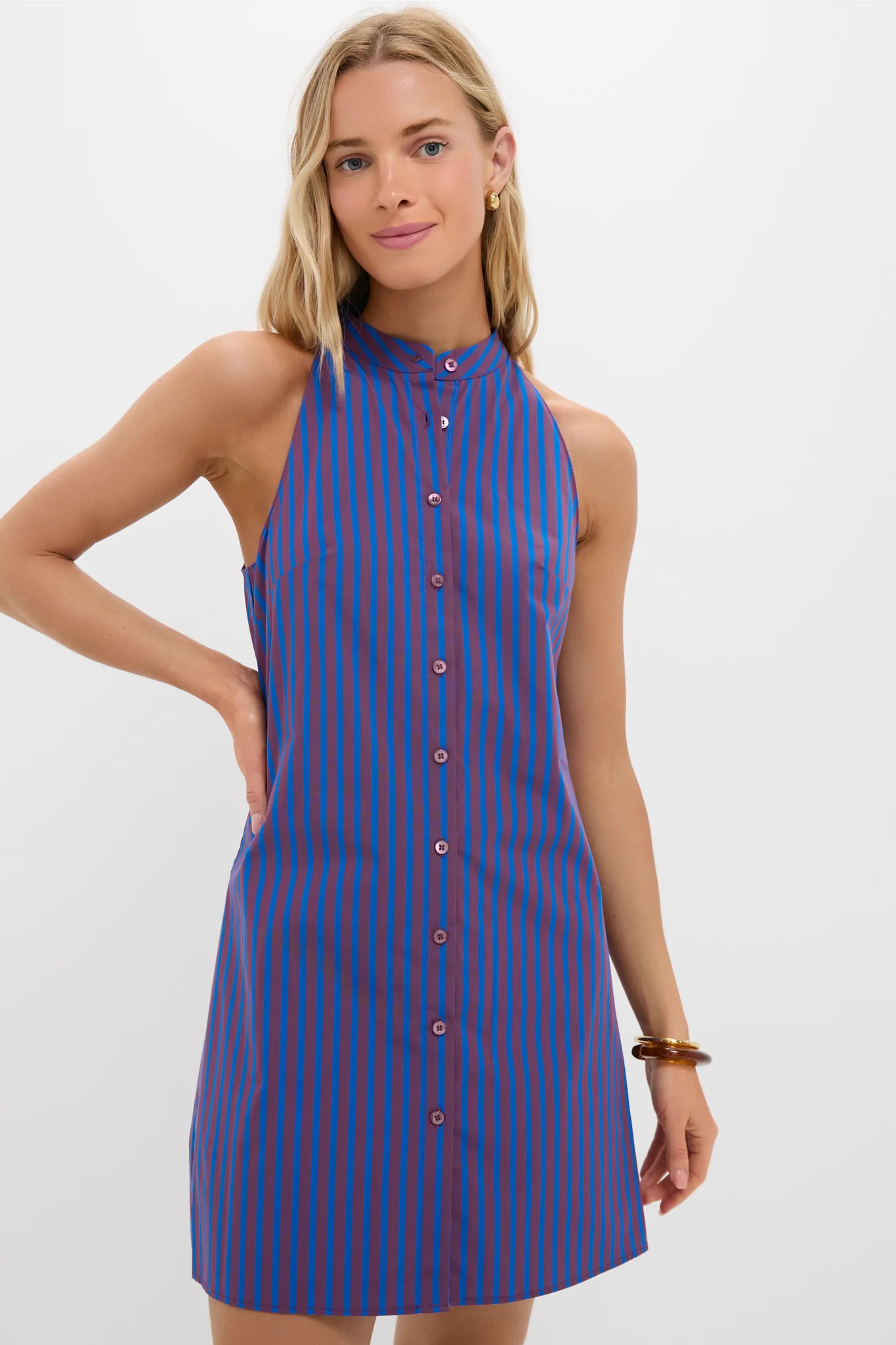 Atlas Stripe Shirley Mini Dress | Tuckernuck (US)