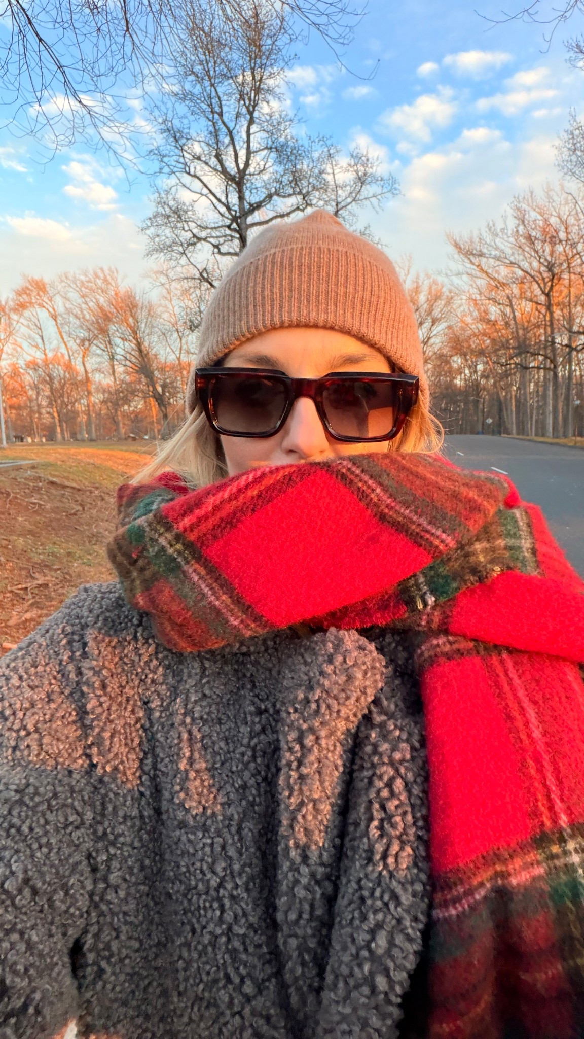 Plaid scarf which I will wear whole winter!

Winter scarf • winter accessories 

#LTKGiftGuide #LTKFindsUnder50 #LTKootd