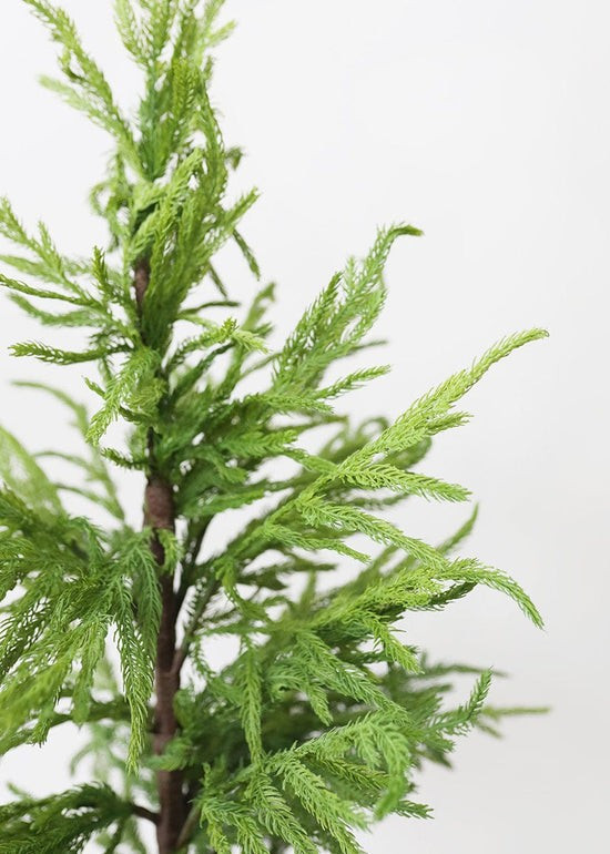 Afloral Real Touch Faux Norfolk Pine Tree - 36 | Afloral