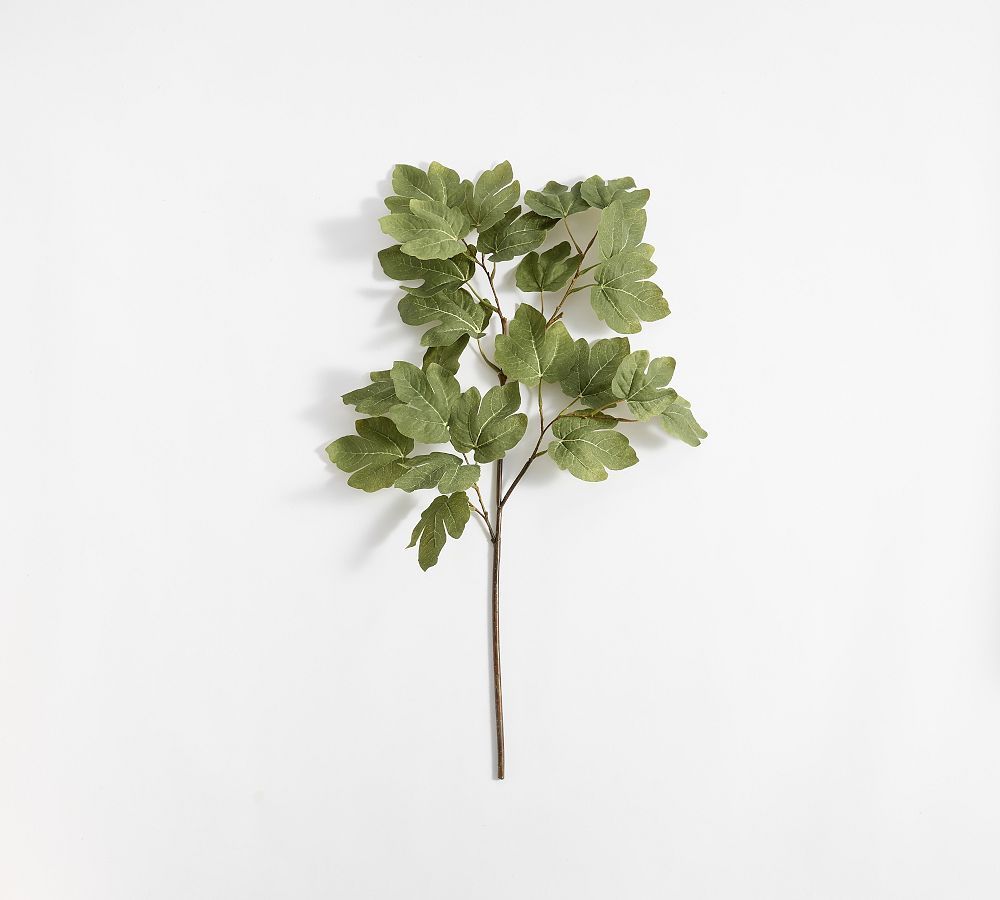 Faux Fig Leaf Branch | Pottery Barn (US)