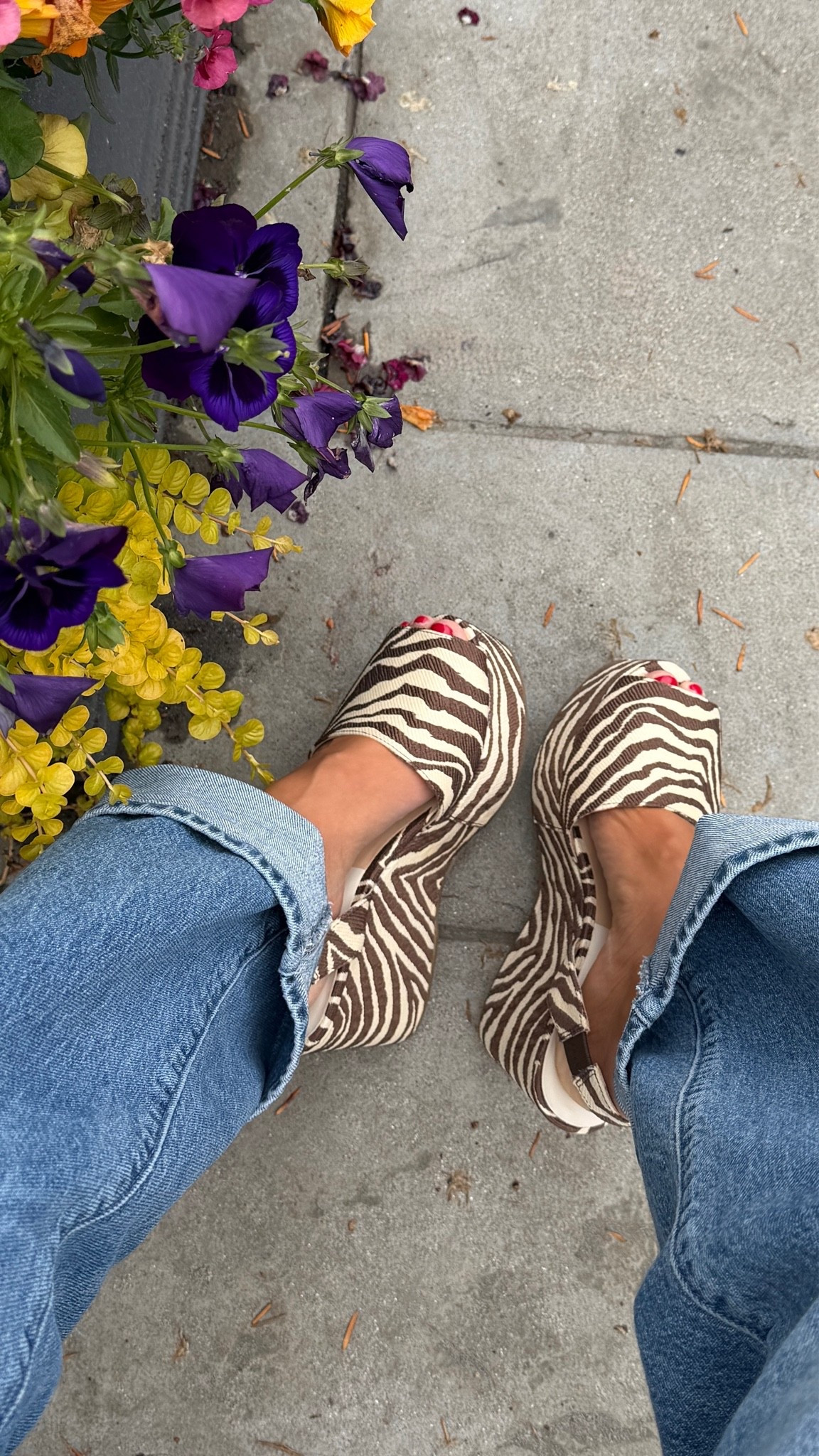 Zebra shoes so fun🦓 I got true size but the front is a bit tight so size up if you’re worried!