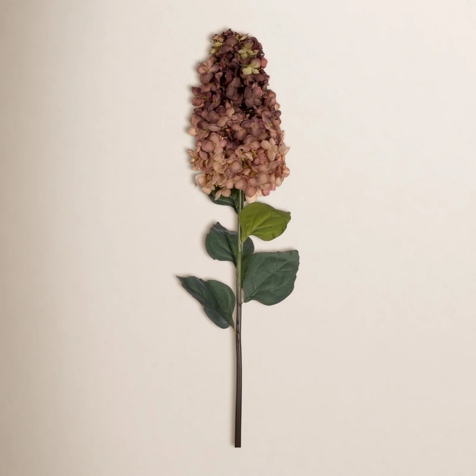 Hydrangea Floral Stems | Birch Lane