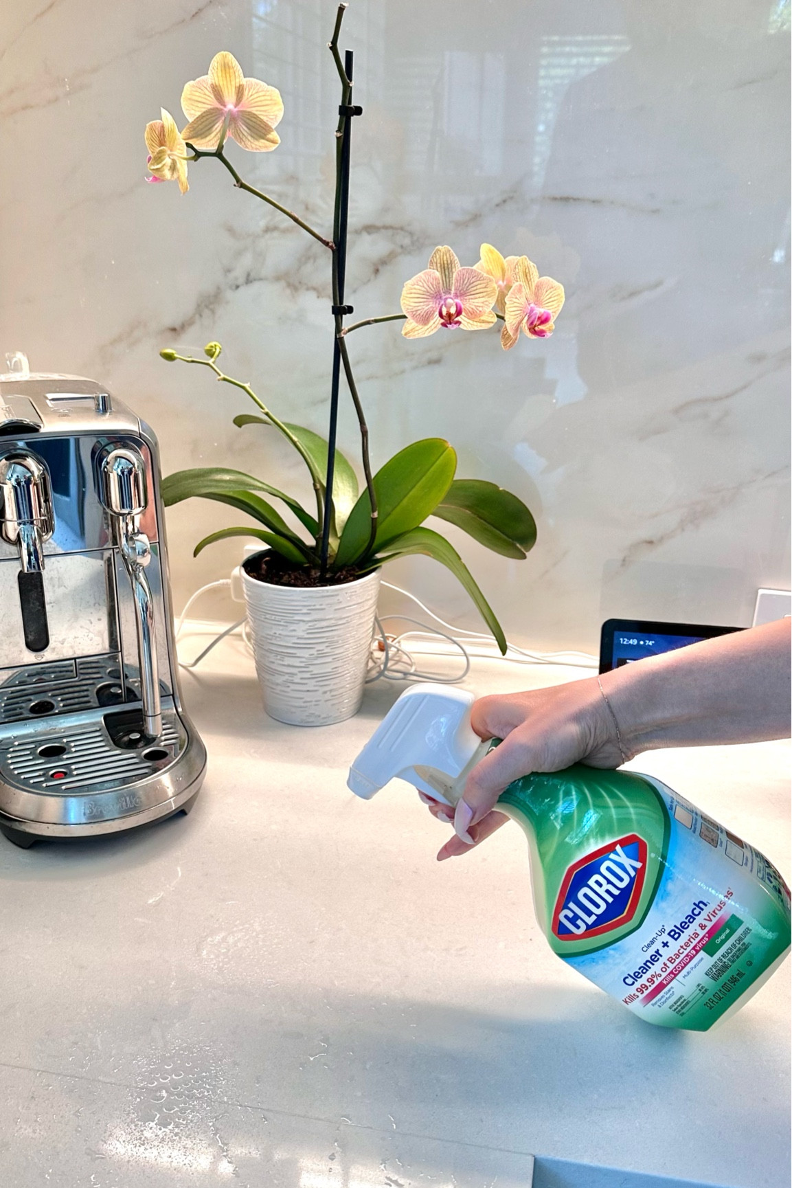 How I keep my white quartz countertop clean. If we have a tea or coffee stains, this bleach help to remove it. Just don’t wait until it will penetrate. Then it will be much more difficult to remove .

#LTKhome