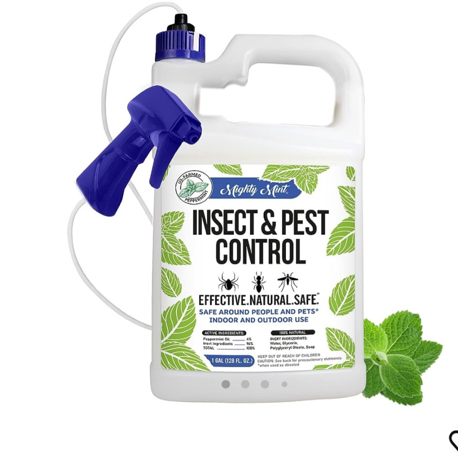 The best natural pest control 