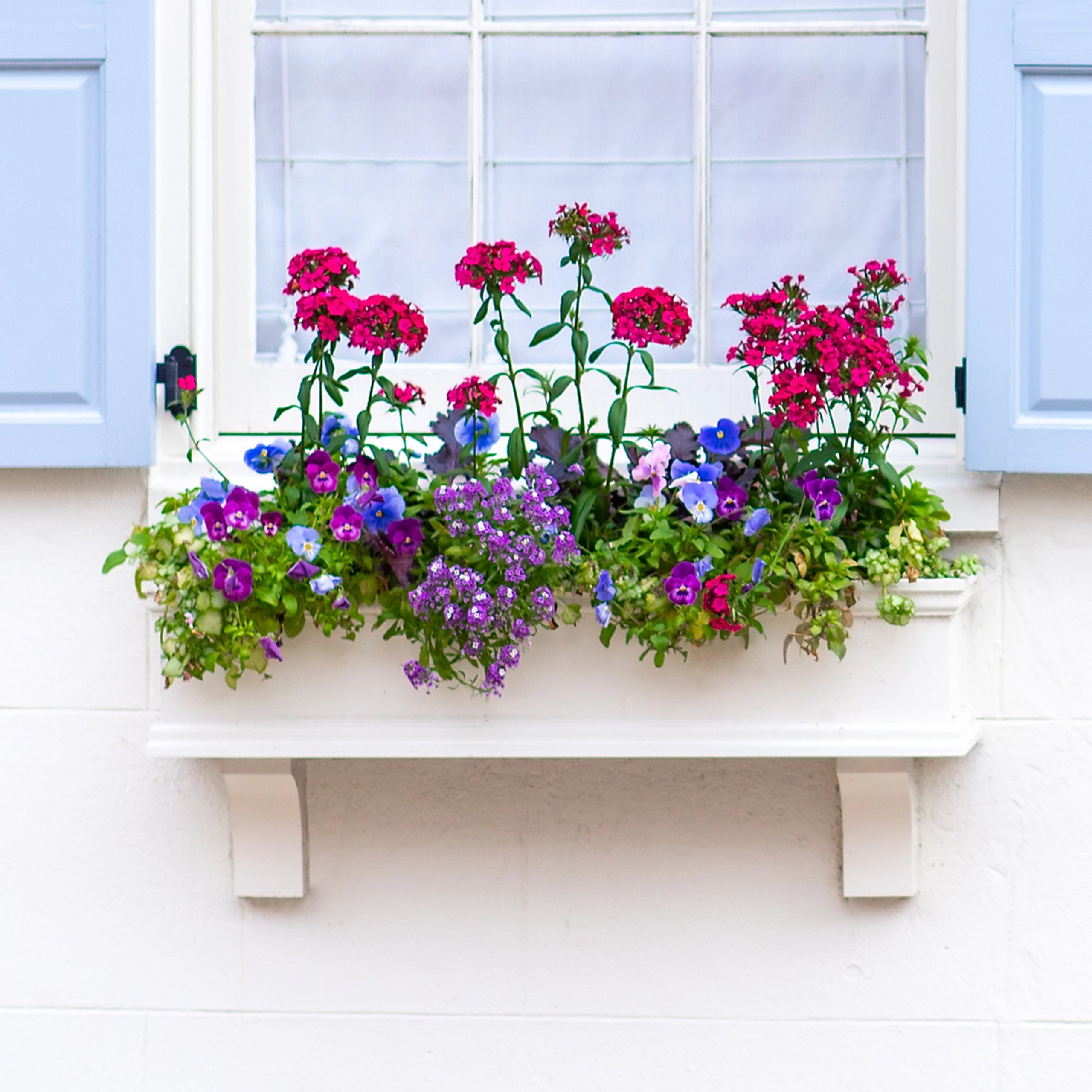 Laguna Direct Mount Window Box | Hooks and Lattice