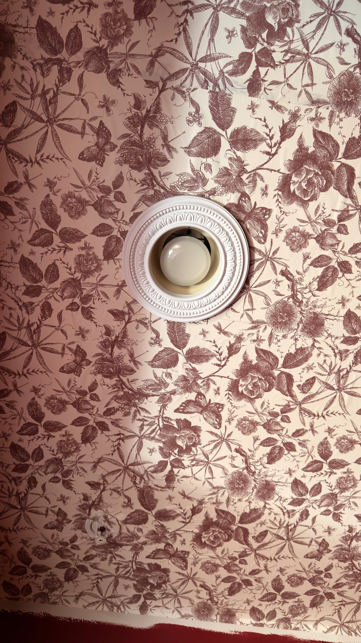 Medallion for recessed lights #HomeDecor #HomeDesign #AmazonFinds #AmazonMustHave ￼