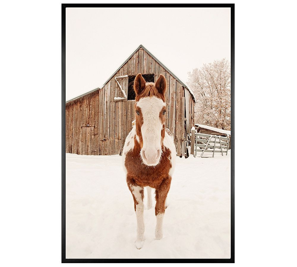 Barn Horse In Winter Framed Print by Jennifer Meyers, 28x42"", Wood Gallery Frame, Black, No Mat | Pottery Barn (US)