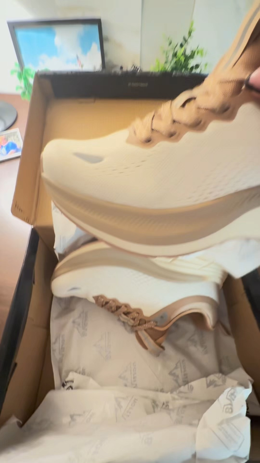 My feet just sighed and my wallet just gave me a high five! These shoes are giving me Hoka vibes without the Hoka price.

#LTKShoeCrush #LTKActive #LTKFindsUnder100