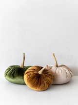 Velvet Pumpkins | House of Jade Home