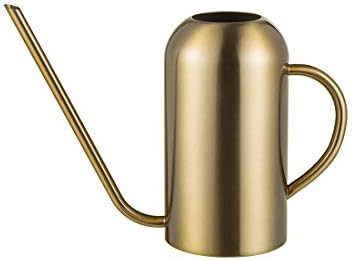 Songhg Stainless Stee Watering Can for Indoor Plants and Garden, Watering Pot 40oz/3gallon, Gold | Amazon (US)