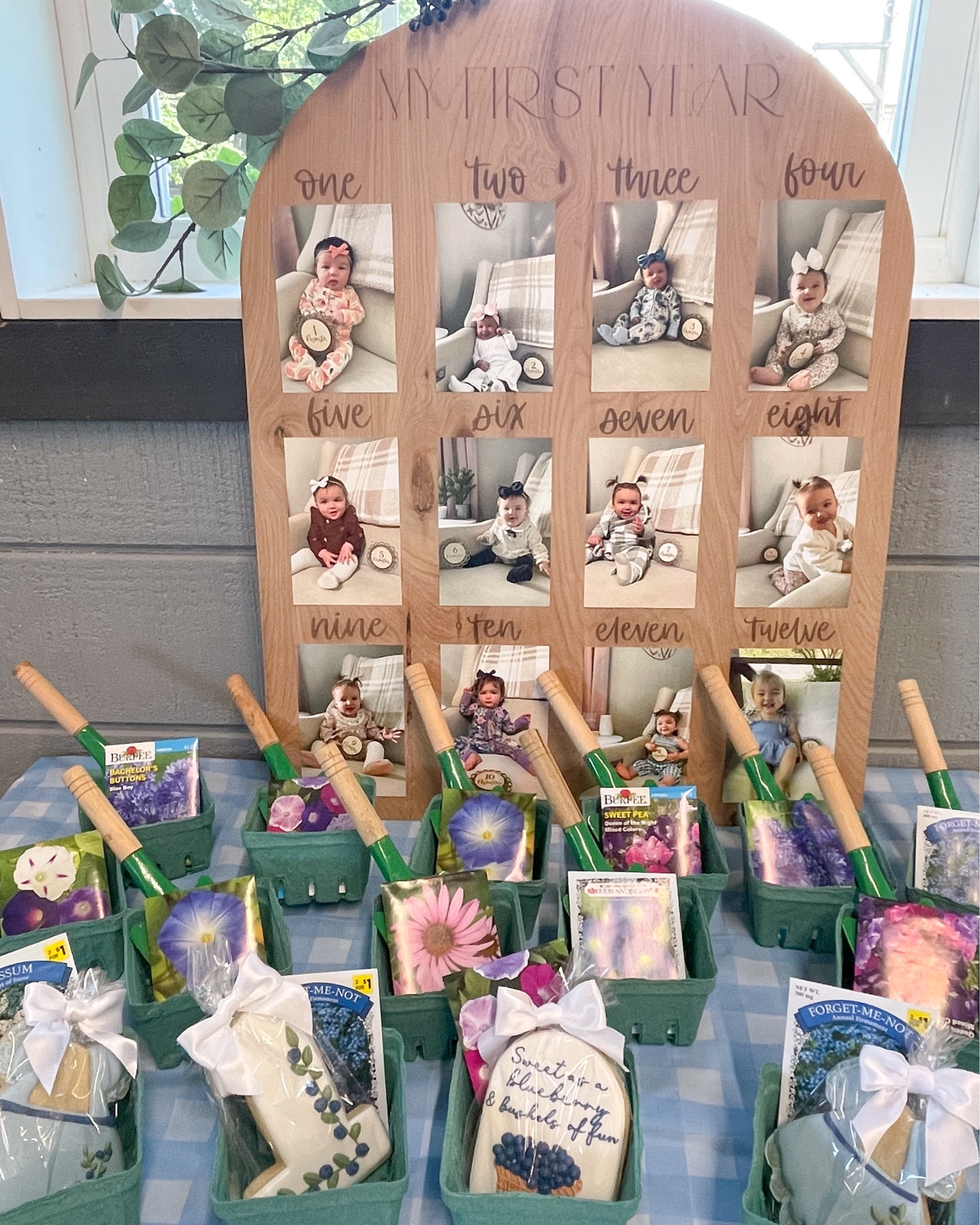 Blueberry first birthday! 
We did blueberry pints and gardening gear for the favors! 
Ordered cookies from the buttery mill cookie co - check in insta! 

#LTKKids #LTKParties #LTKBaby