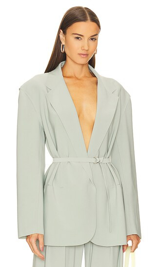 Oversized Single Breasted Jacket in Dried Sage | Revolve Clothing (Global)