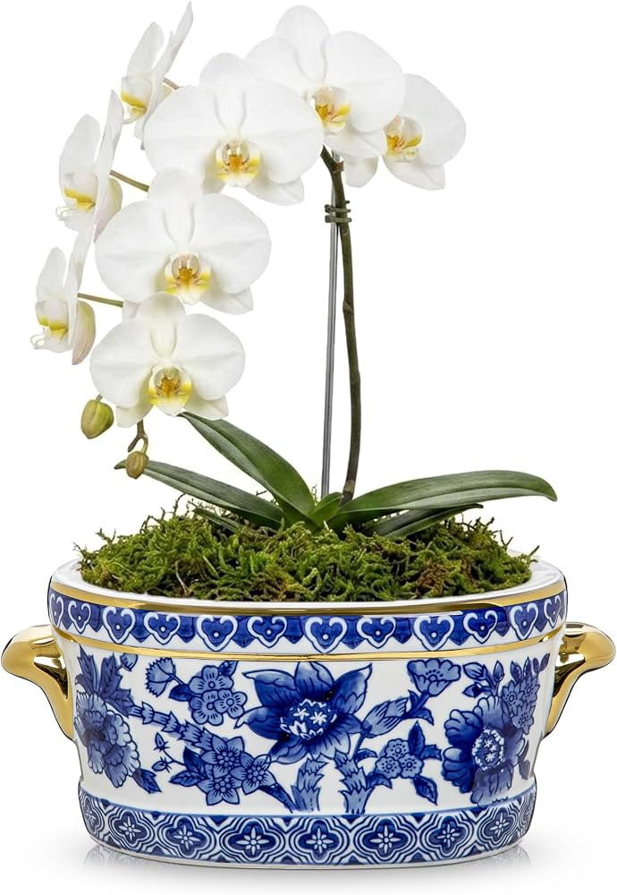 Blue and White Ceramic Planter Pot \u2013 Vintage Floral Oval Cachepot Vase for Indoor Plants, Fl... | Amazon (US)