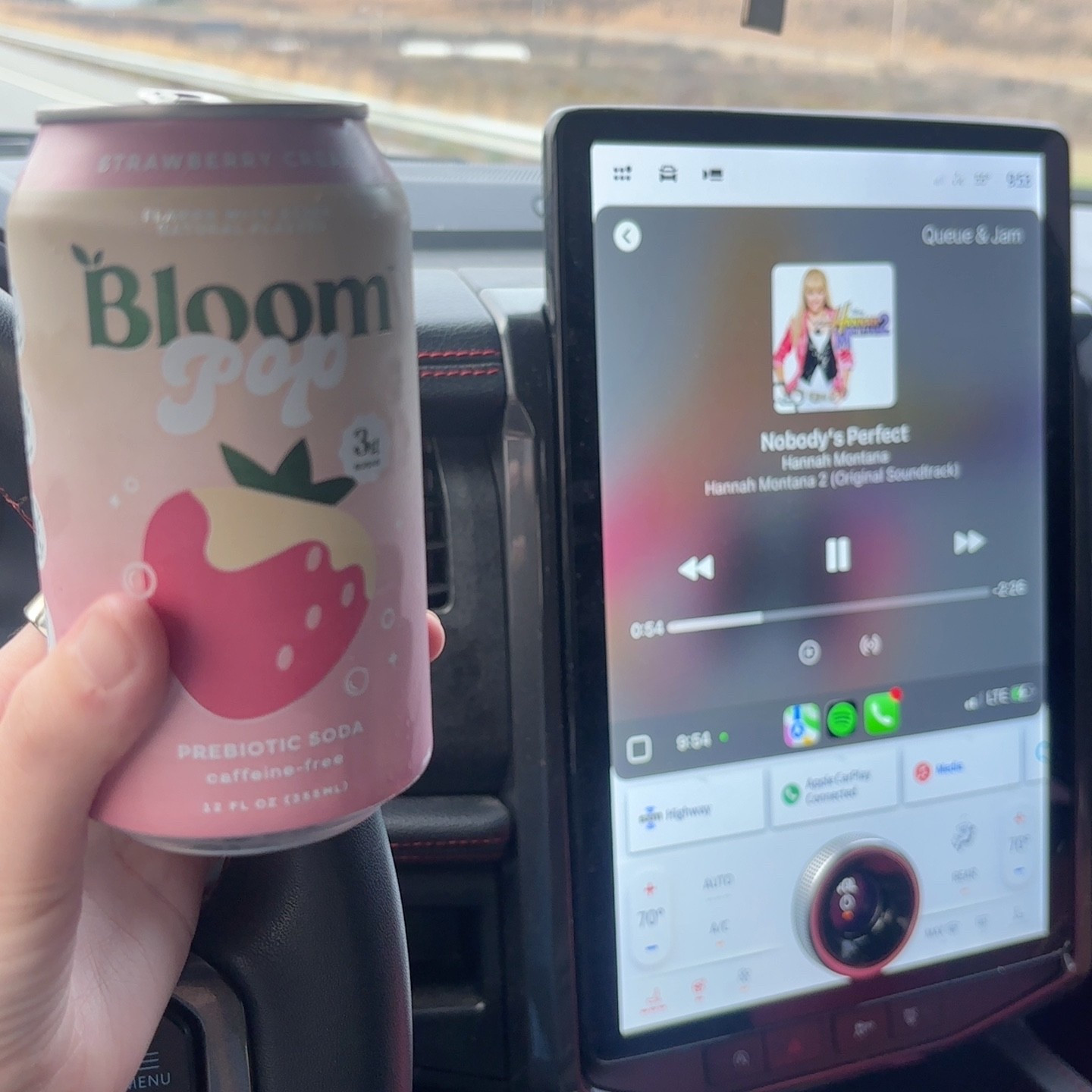 Loving these bloom pops