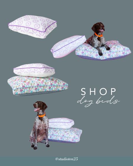 Shop Ten 25 Dog beds for your furry friends! 

#LTKHome #LTKActive #LTKStyleTip