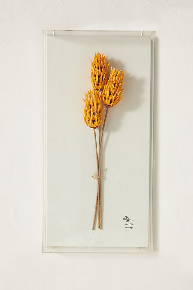 Dried Botanical Wall Art | Anthropologie (US)