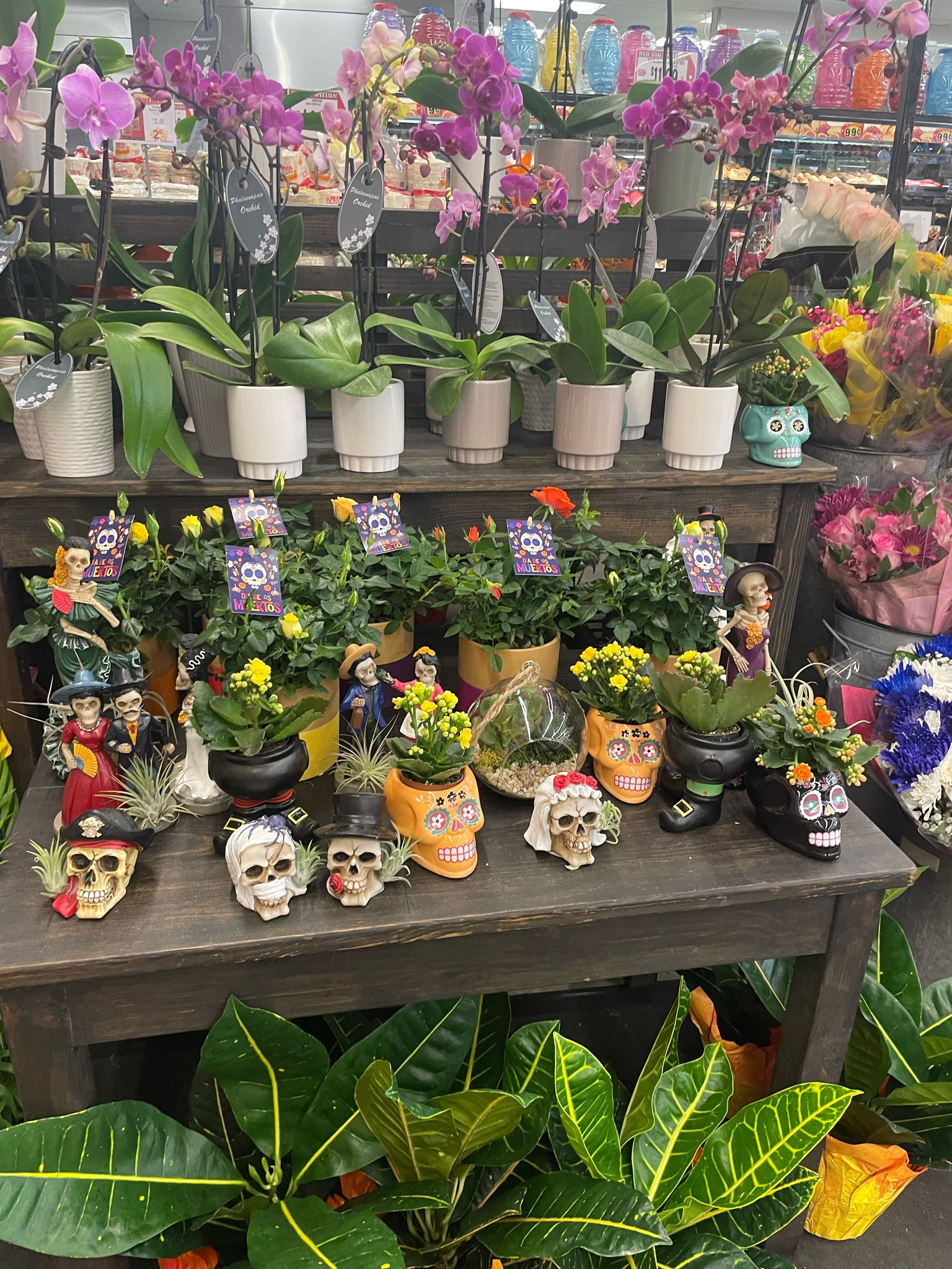 Plant decorations for your home! 💚

#LTKHome #LTKSeasonal #LTKParties