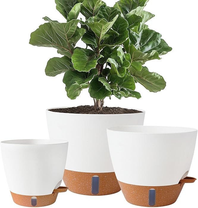 8/10/12 Inch Self Watering Pots for Indoor/Outdoor Plants - Large Plastic Planter with Drainage H... | Amazon (US)