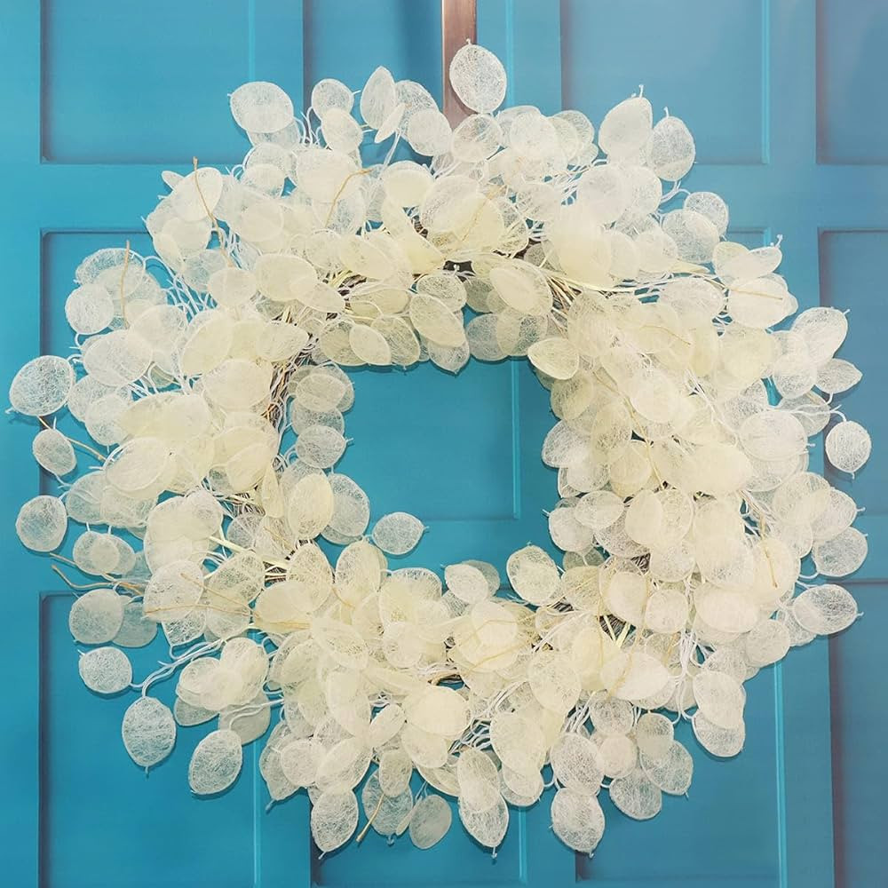 24-26 Inch Faux Eucalyptus Spring Summer Wreaths for Front Door - Fake Lunaria Annua Fall Winter ... | Amazon (US)