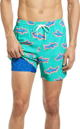 Classic Lined 5.5-Inch Swim Trunks | Nordstrom